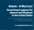 biofuels-at-what-cost-thumb.png