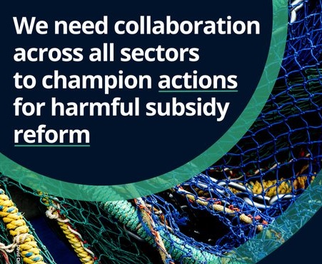 Collaboration across sectors needed