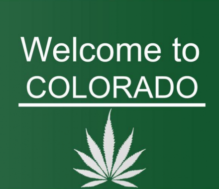 CO legalizes marijuana