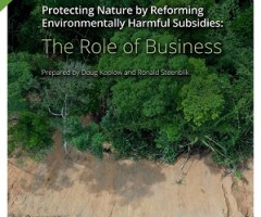 Cover image for Protecting Nature report