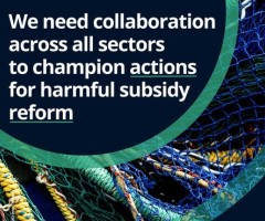 Collaboration across sectors needed