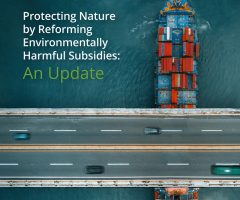 Cover_ehs update_sept 2024_blog scaling