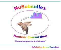 NuSubsidies cover page