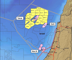 Map of Tamar field