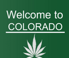 CO legalizes marijuana