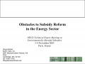 Koplow Subsidy Reform Slides-thumb.png