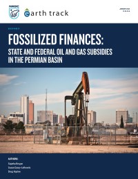 Cover to Permian subsidies report_jan 2024